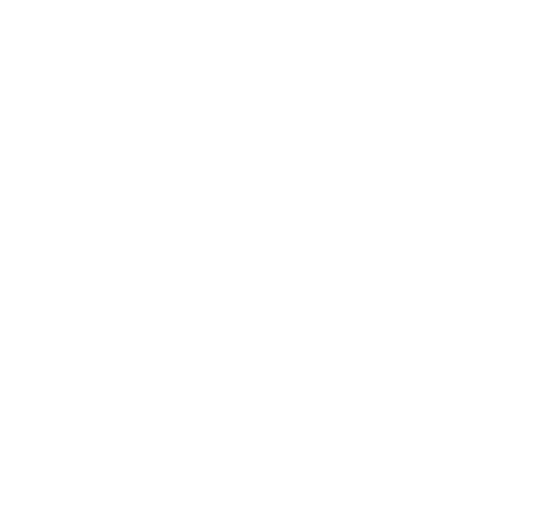 AMORE BOAT